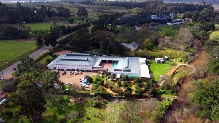 Aerial View 768x432