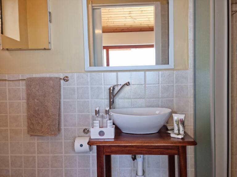 bikini beach holiday home gordons bay 09 en suite bathroom with shower 768x576