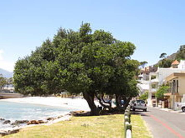 bikini beach holiday home gordons bay 30 bikini beach with parking 768x576
