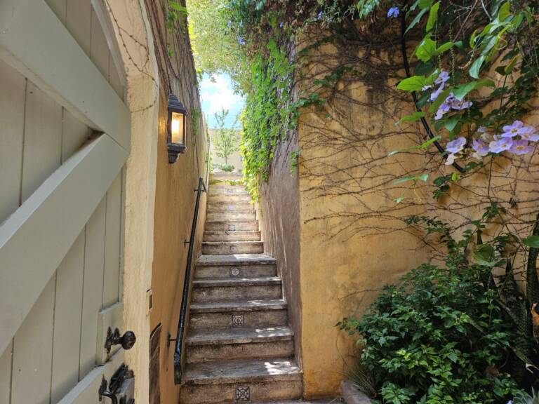 cardamom cottage gordons bay 22 seaside cottage with steps 768x576