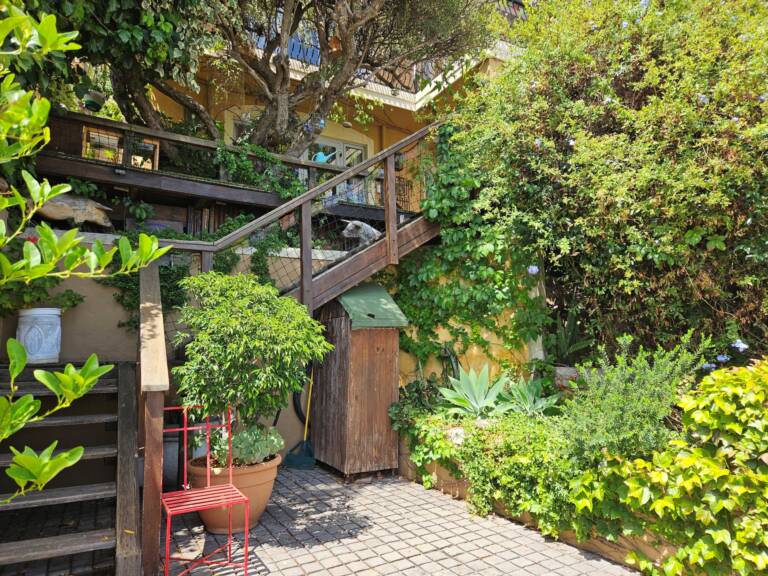 cardamom cottage gordons bay 23 seaside self catering with ocean view 768x576