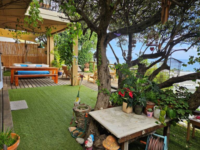cardamom cottage gordons bay 26 self catering cottage with outdoor space 768x576