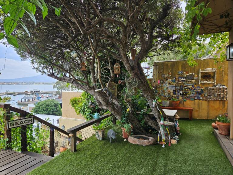 cardamom cottage gordons bay 27 self catering cottage with beach access 768x576