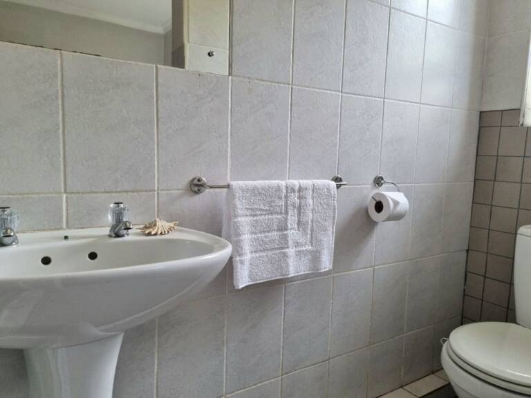country beach house gordons bay 11 en suite bathroom with shower 768x576