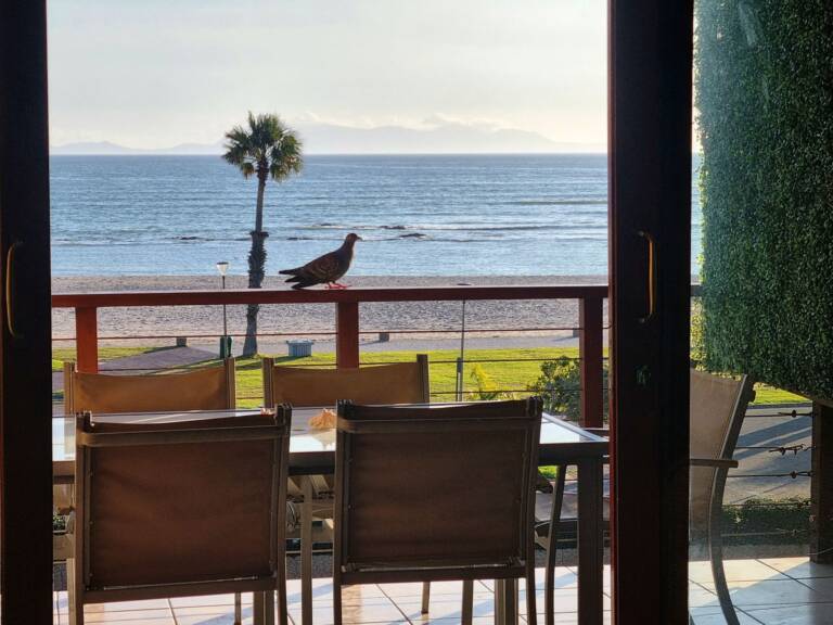 flat9 summer place gordons bay 29 helderberg with beachfront flat 768x576