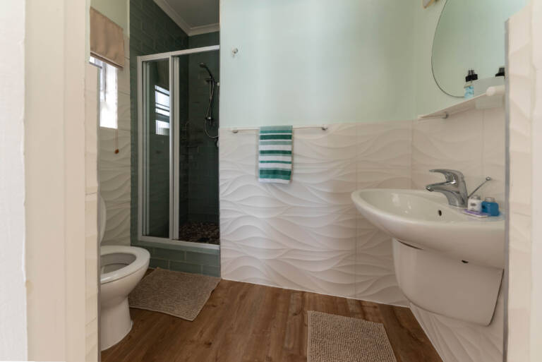 harbour views gordons bay 16 en suite bathroom with shower 768x513