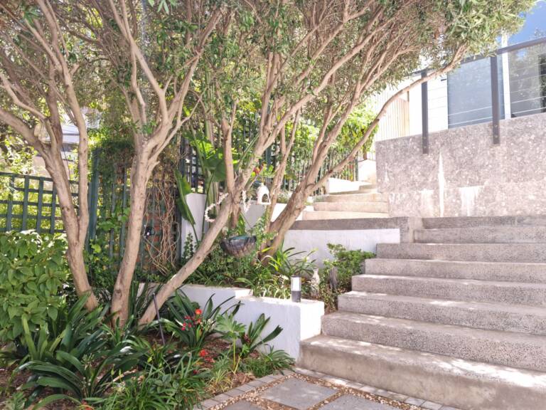 kaya moya gordons bay 16 self catering cottage with private entrance 768x576