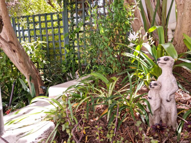 kaya moya gordons bay 17 self catering studio with garden 768x576