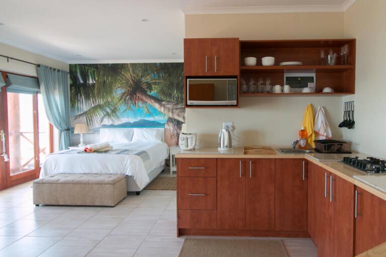 le gaulois gordons bay 02 orchidee open plan with kitchenette 768x512