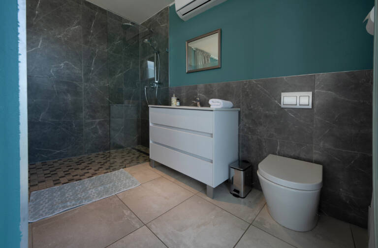 ocean views gordons bay 13 bathroom with modern shower 768x505