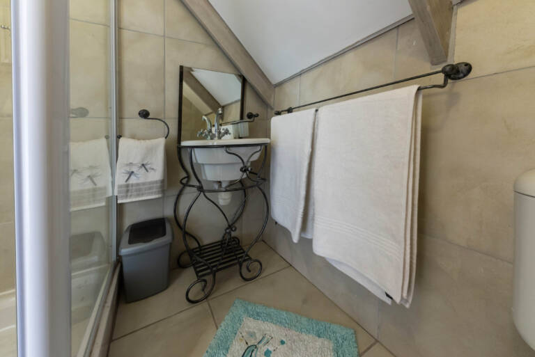 seagull cove gordons bay 33 en suite bathroom with shower 1 768x513
