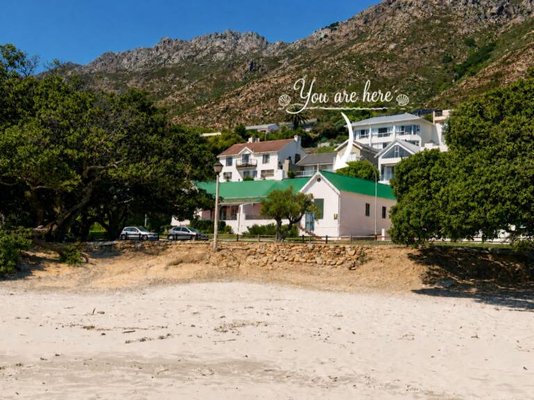 the milkwood cottage gordons bay 01 western cape with beachfront holiday house 768x576