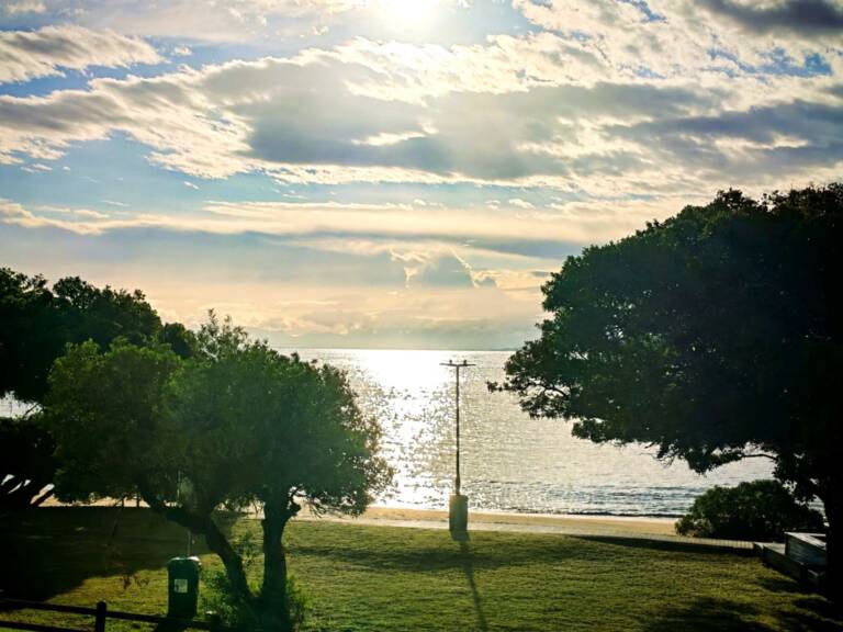 the milkwood cottage gordons bay 04 beachfront self catering house 768x576