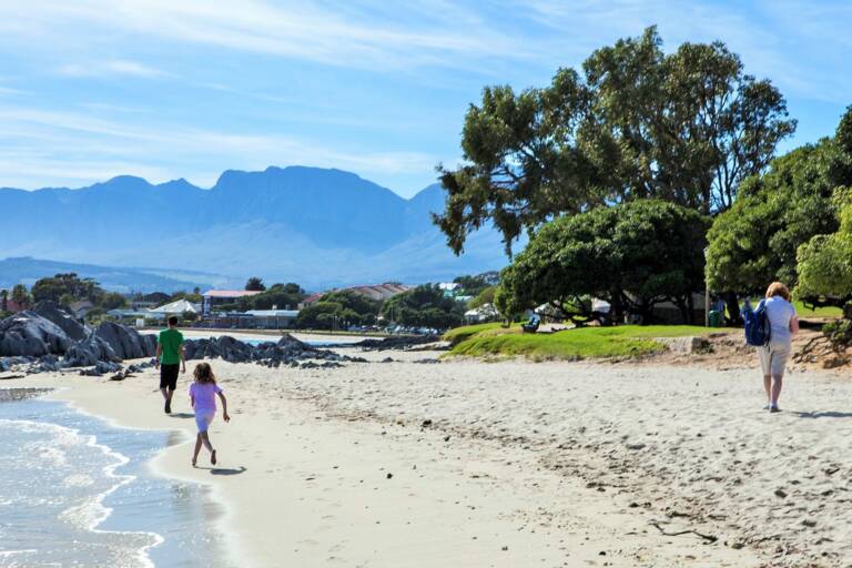 the milkwood cottage gordons bay 35 beach with family fun 768x512
