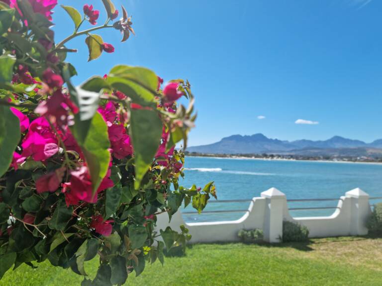 westbank private beach villa gordons bay 28 private garden with direct beach access 768x576